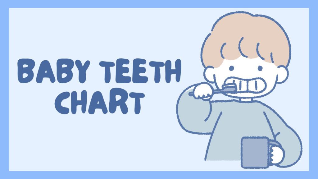 Baby Teeth Chart