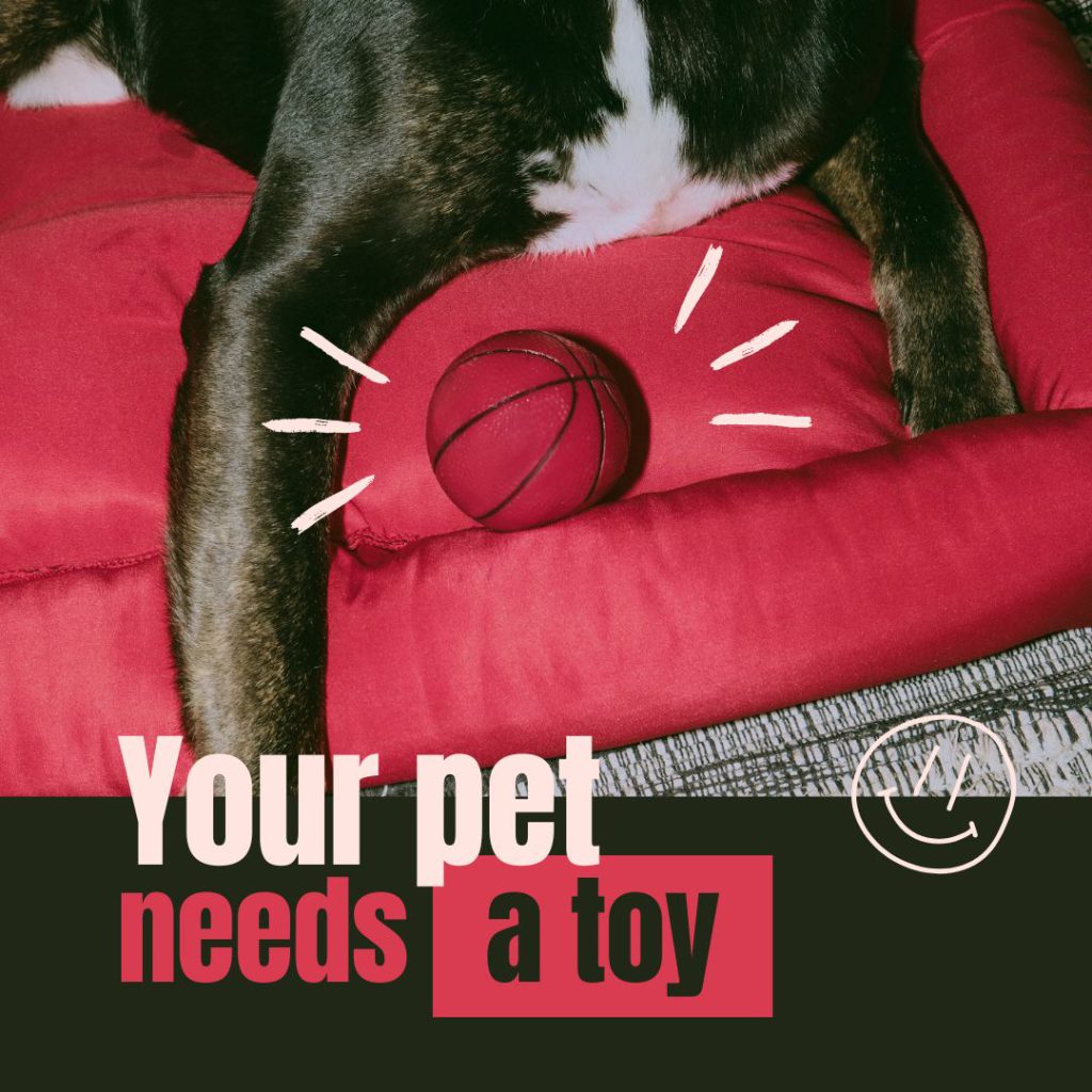 indestructible dog toys