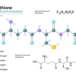 Benefits of Glutathione: Your Body's Master Antioxidant