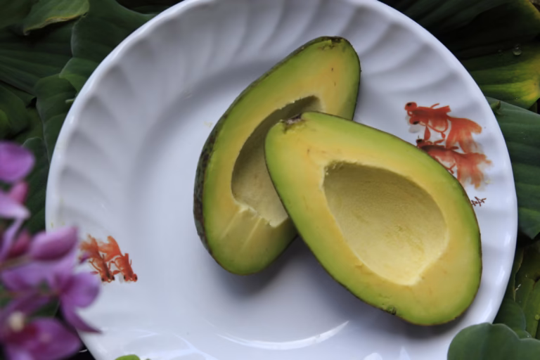 Can Dogs Eat Avocado? Safety, Risks, Benefits & Vet-Approved Tips (2026)