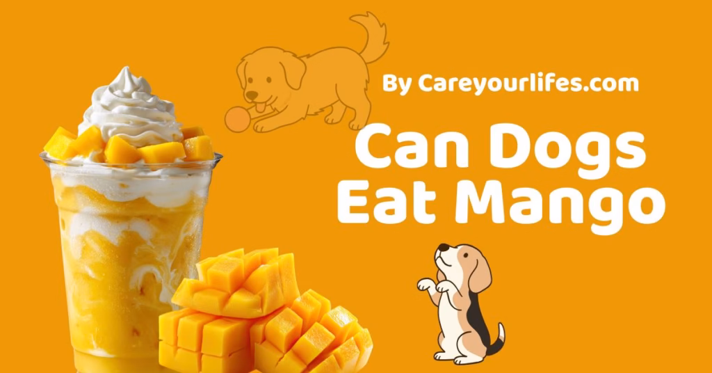Can dogs eat mango
