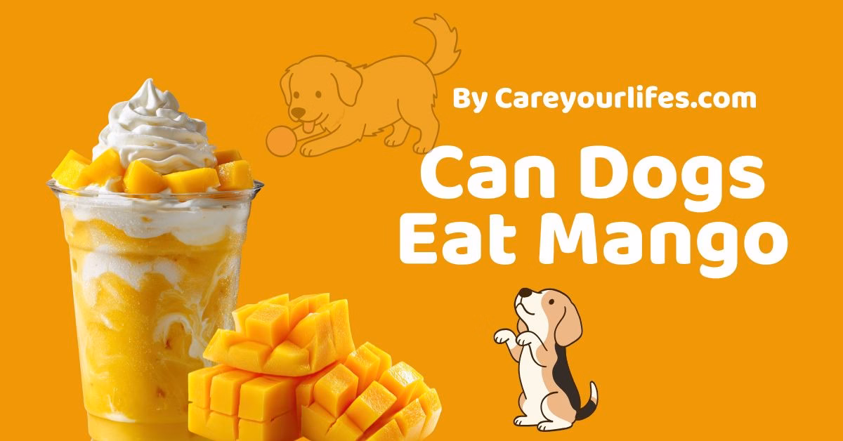 Can dogs eat mango