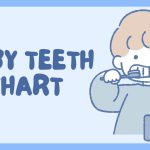 Baby Teeth Chart
