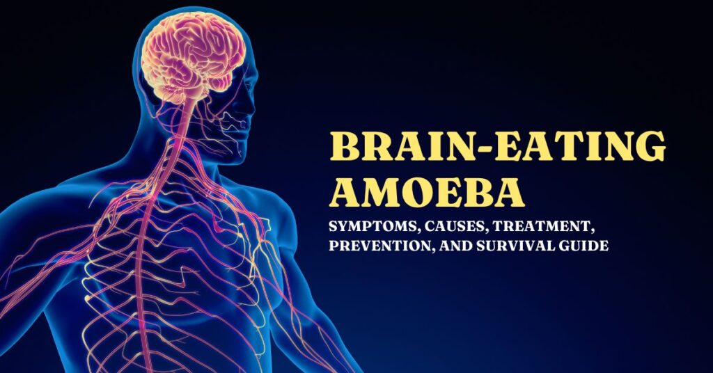 brain eating amoeba