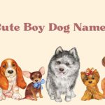 cute boy dog names