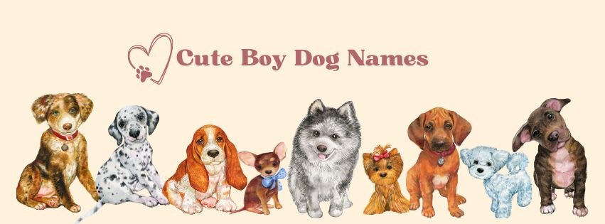 cute boy dog names