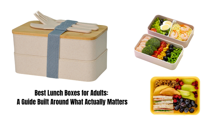 Best Lunch Boxes for Adults: What Actually Keeps Food Fresh (Not Just Cute)