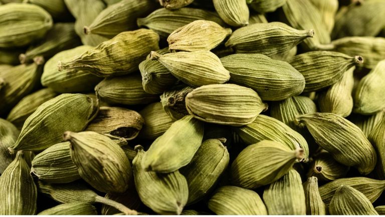 Green Cardamom Benefits Why This Tiny Spice Deserves a Bigger Role in Your Kitchen